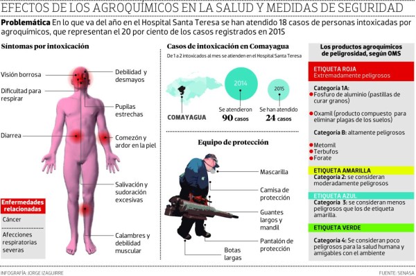 Campos agrícolas de Comayagua bajo la lupa por intoxicaciones