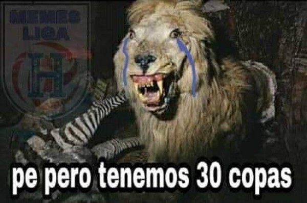 Crueles memes contra Olimpia después de que Motagua se consagrara campeón