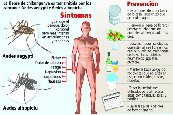 Chikungunya ya está en El Salvador