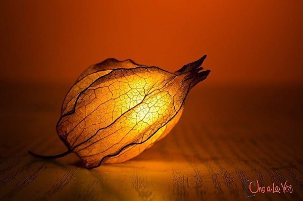 'Uno a La Vez', un proyecto pensado para mostrar el talento artístico de los hondureños