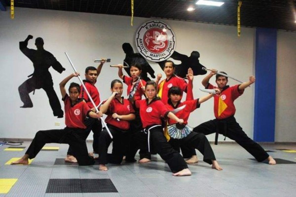 Torneo de artes marciales 'Desafío Tigres 2014' en Tegucigalpa ylt;/