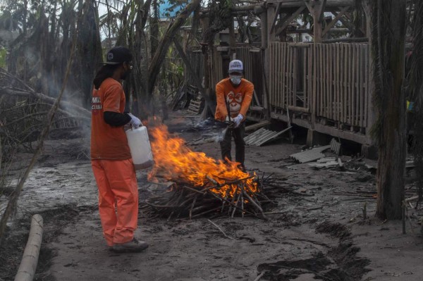 Rescatan a animales 'olvidados' tras erupción volcánica en Indonesia