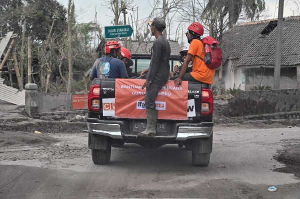 Rescatan a animales 'olvidados' tras erupción volcánica en Indonesia
