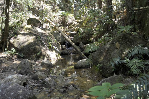 Exigen celeridad y transparencia en investigaciones sobre La Tigra