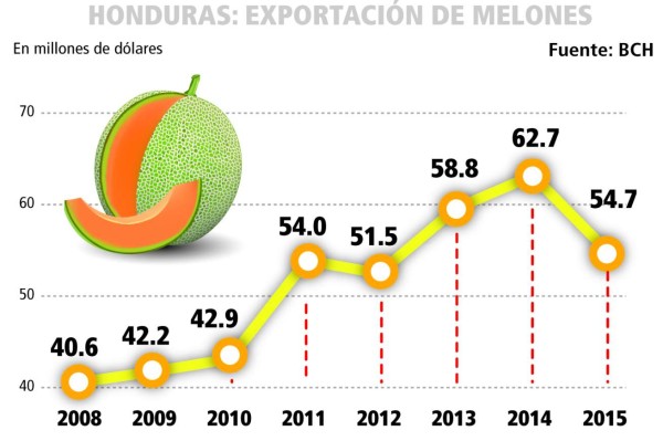 Mejora expectativa para rubro del melón