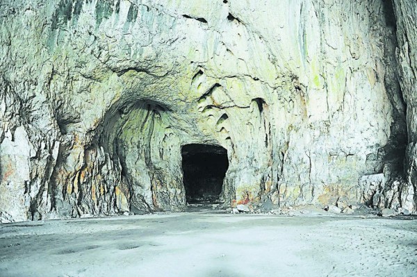 Los mejores chistes de la semana