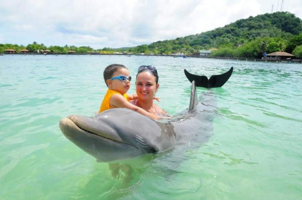 Delfines, una saludable compañía