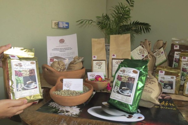 Microempresarios cafetaleros, el polo de desarrollo de La Paz