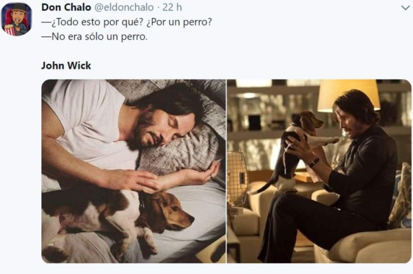 Los divertidos memes de John Wick después de que mataran a su perro