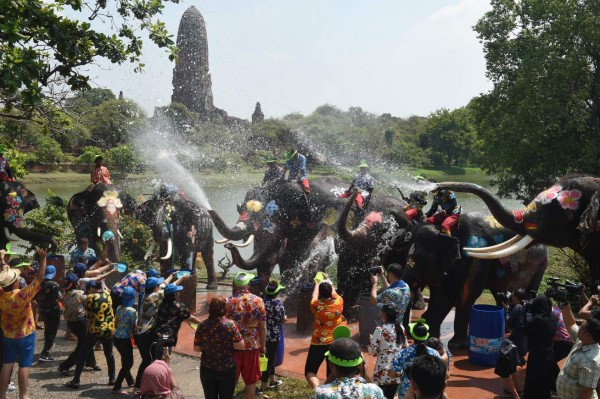 Los visitantes y los elefantes se salpican agua durante una ceremonia antes del festival.