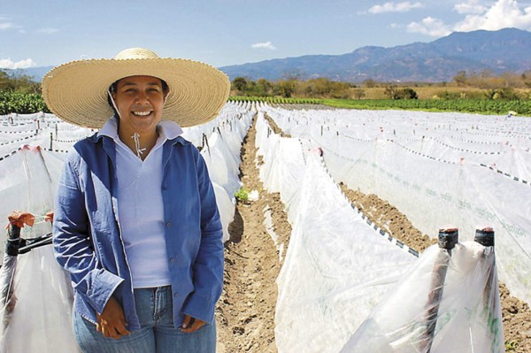 Mejoran producción agrícola con asistencia internacional