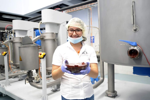 Xol, un chocolate con sabor ancestral