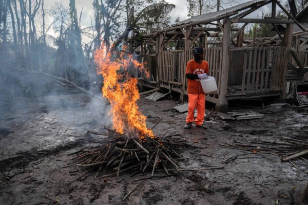 Rescatan a animales 'olvidados' tras erupción volcánica en Indonesia