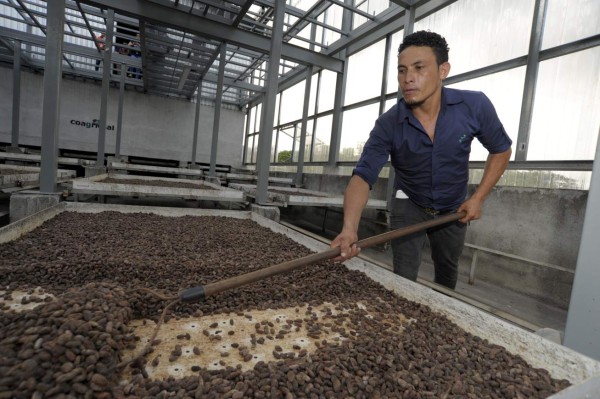 Xol, un chocolate con sabor ancestral