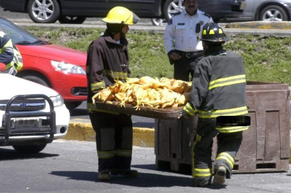 Mueren miles de pollos en un accidente de tránsito
