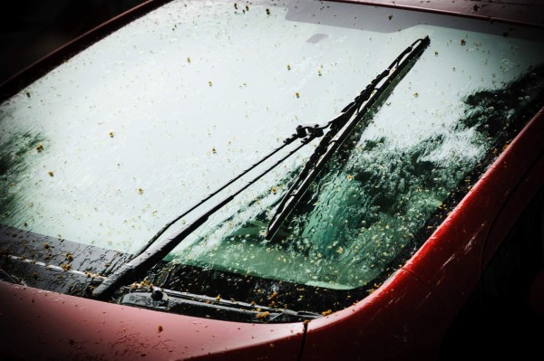 Tips para viajar seguro y sin contratiempos