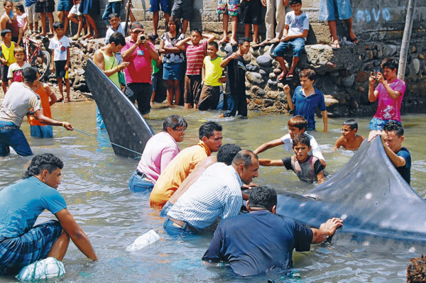 Honduras: Pescadores liberan a una ballena varada en el sur del país