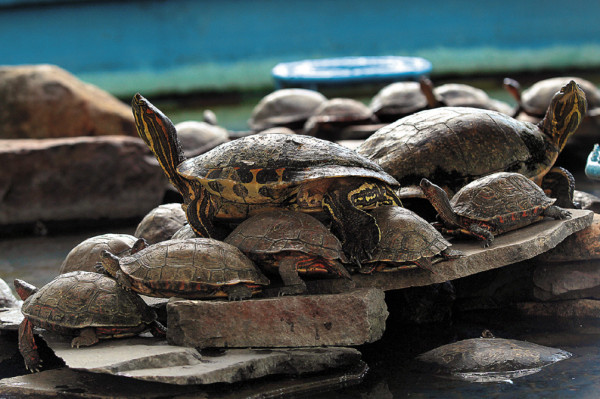 Un encuentro entre lo colonial y lo moderno
