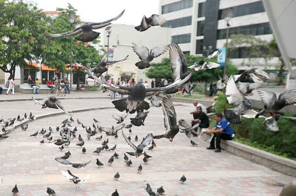 Los cambios más destacados en los últimos años en la capital