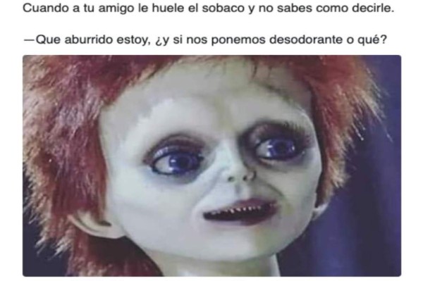 Memes virales de 2019: Gatos y el pollito amarillo entre los más compartidos