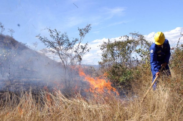 Arrecian incendios forestales