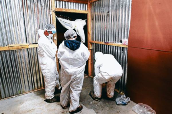 Cabello hallado en covacha es de acusado por muerte de Villatoro