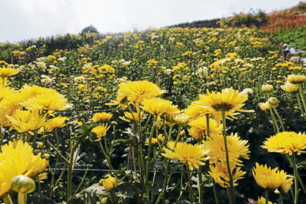 Lepaterique mayor abastecedor de mayoreos y supermercados