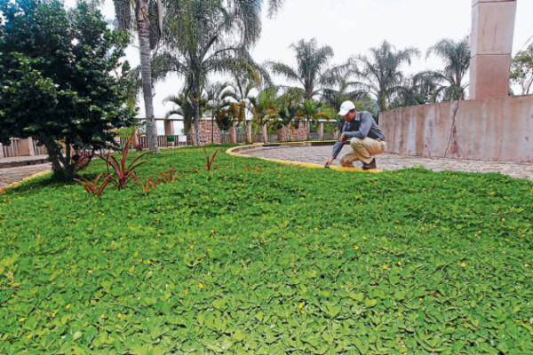 Inicia evolución del Juana Laínez a parque estudiantil