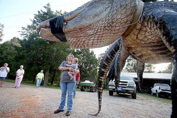 Familia caza caimán gigante en Estados Unidos