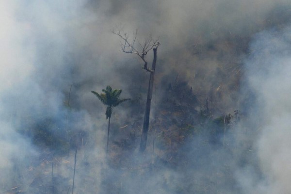 Las impactantes fotos de los desastres que deja el incendio en Amazonia