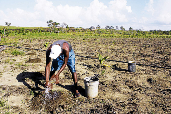 La Mosquitia: tierra de coraje y valentía