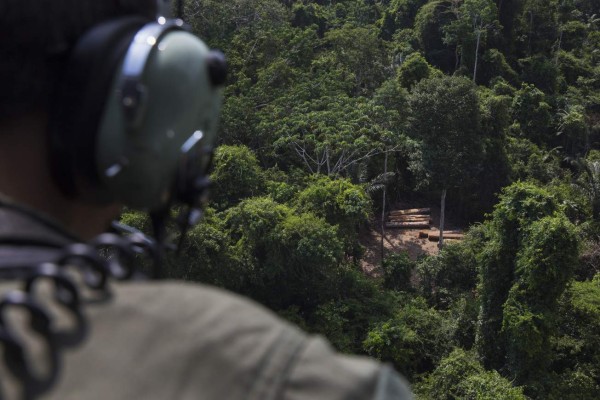 Tema de conservación sacude política brasileña