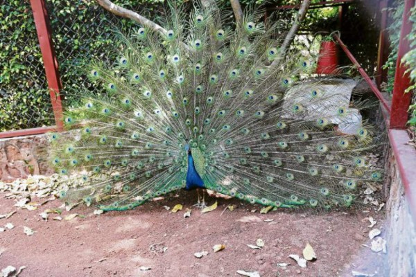 Descanso y diversión en un solo lugar