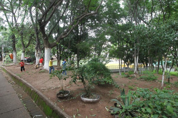 Con lotificación de áreas verdes regulan venta ilegal de predios