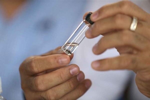 Controlan gorgojo en 7.2 hectáreas