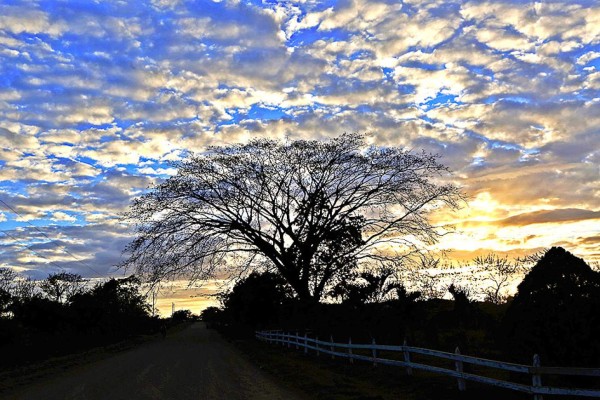 Al igual que un lienzo, el cielo se llena de colores mientras los últimos rayos del sol iluminan los campos de Olancho. (Foto: Marvin Salgado)