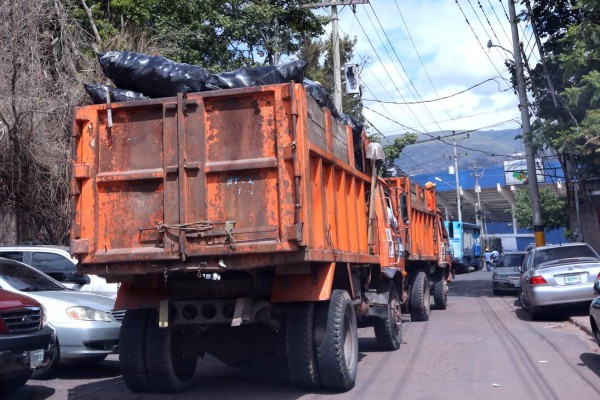 Alumnos refuerzan cultura ecológica