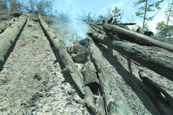 El 69% de las áreas afectadas por el fuego en la capital son privadas