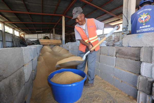 Alfombras y un mural interactivo se preparan para la Semana Santa en la capital de Honduras