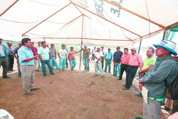 Sitio ecoturístico planean para Laguna del Pedregal