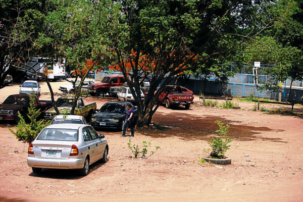 Inicia inventario y legalización de áreas verdes comunales