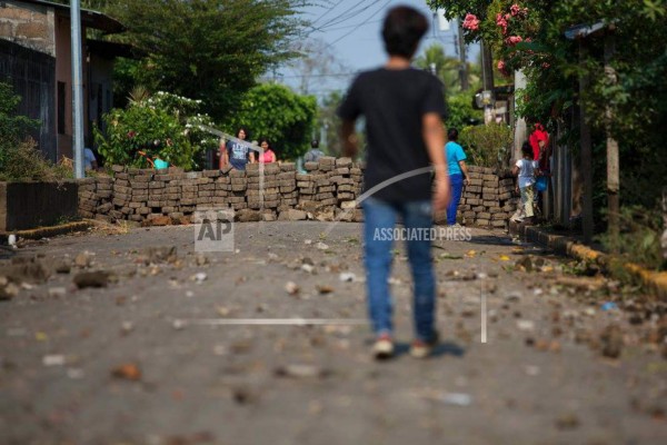Activistas de Nicaragua piden a CIDH investigar las 59 víctimas y los 170 heridos, durante las protestas