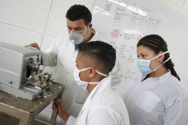 Tejidos microscópicos que prepara la UNAH serán usados por alumnos de media