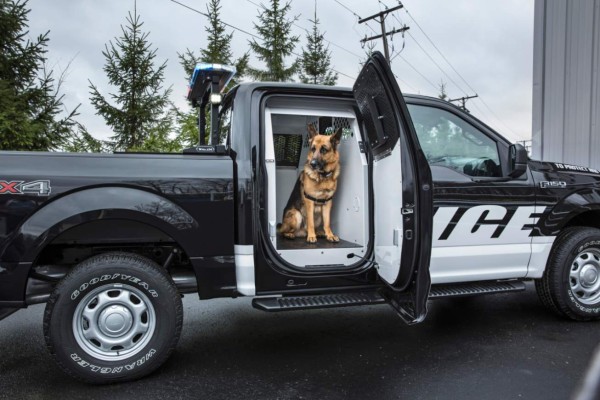 Aumentan los agentes del orden que exigen pick ups para sus trabajos
