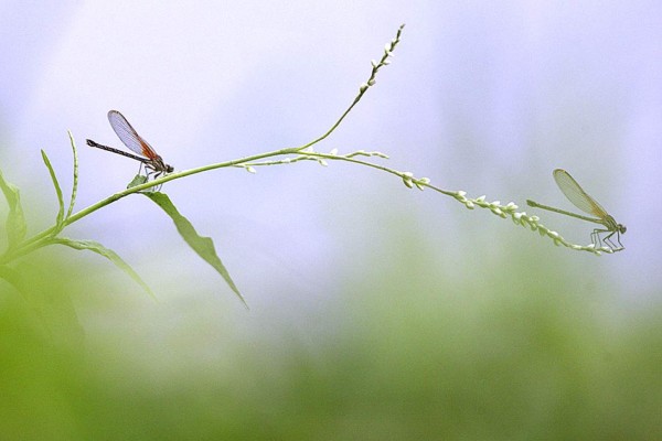 Las Fotos de la Semana en ElHeraldo.hn