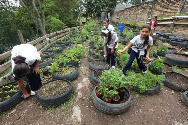 Gobierno escolar tomó las riendas de Escuelas Amigables