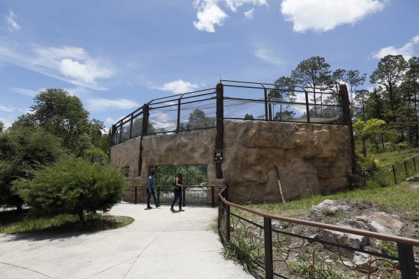 Los inquilinos del Rosy Walther siguen atrayendo a los capitalinos