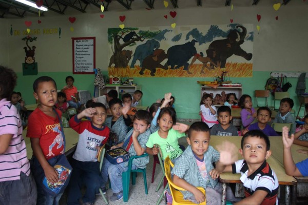 Postulan a organización Acoes de Honduras para el premio Princesa de Asturias 2017 de España