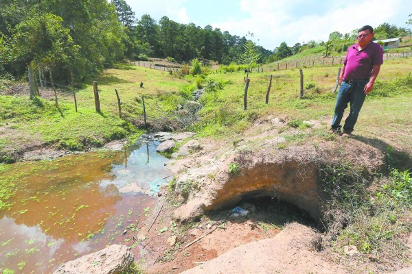Incendios han afectado un 50% menos las cuencas