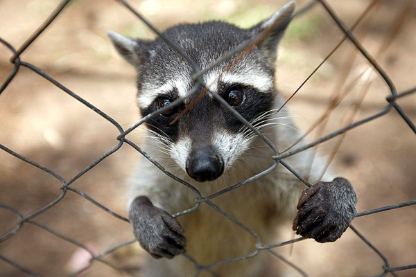 Las Fotos de la Semana en ElHeraldo.hn